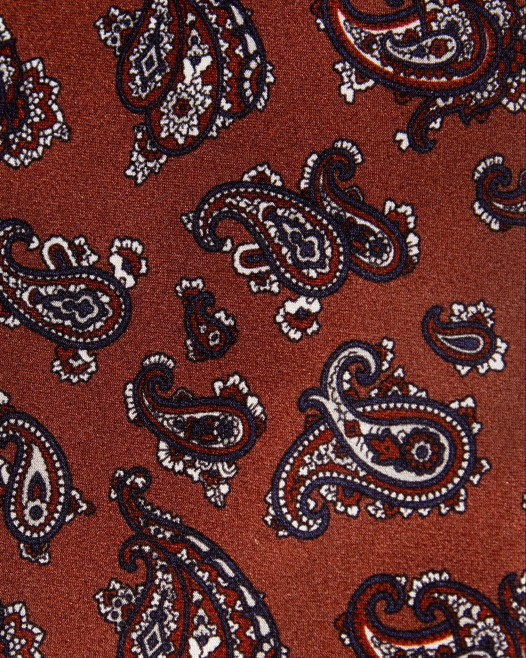 Cravatta Bronzo con Fantasia Paisley Blu e Rosso in Seta
