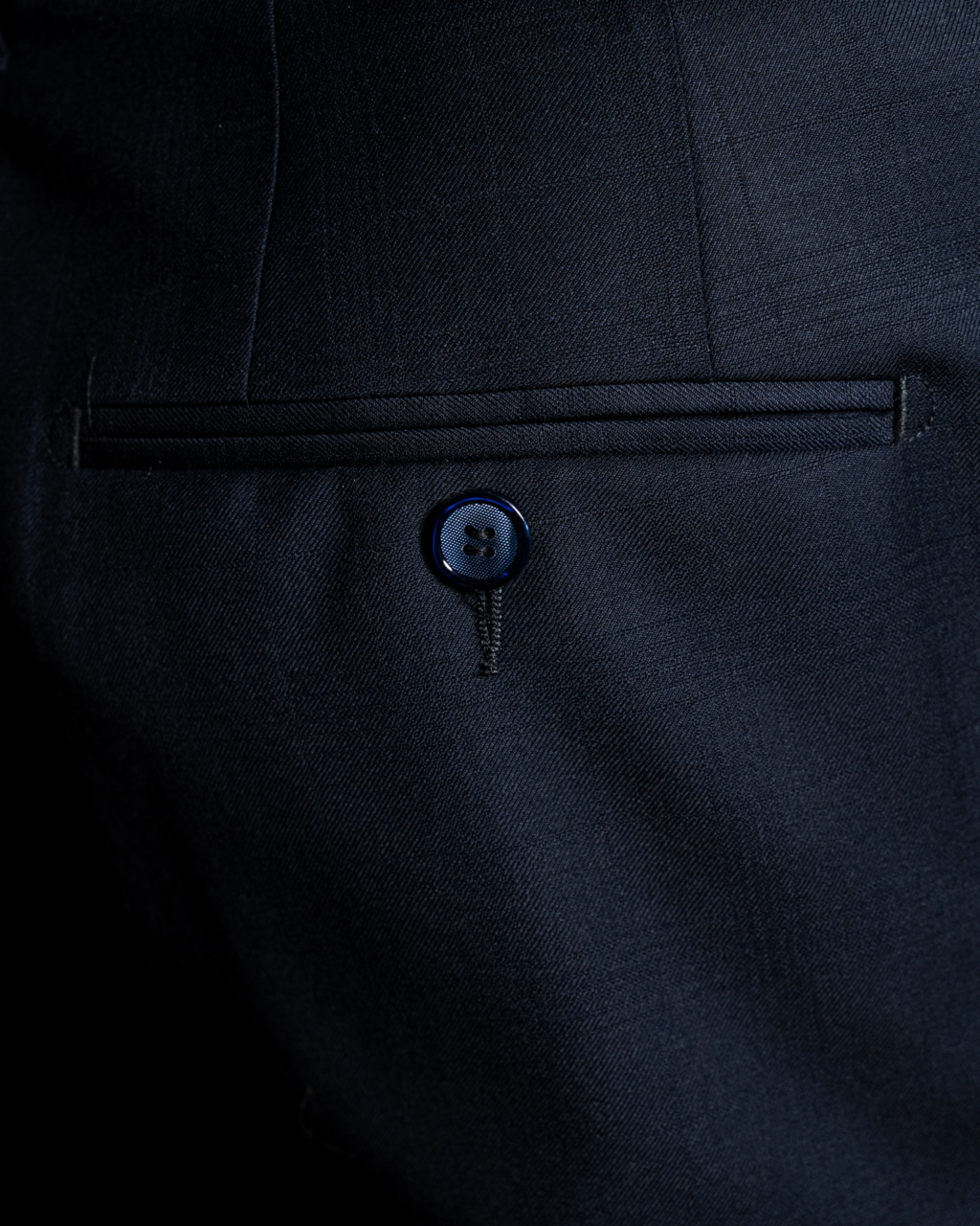 Borromini Dark Blue Pants
