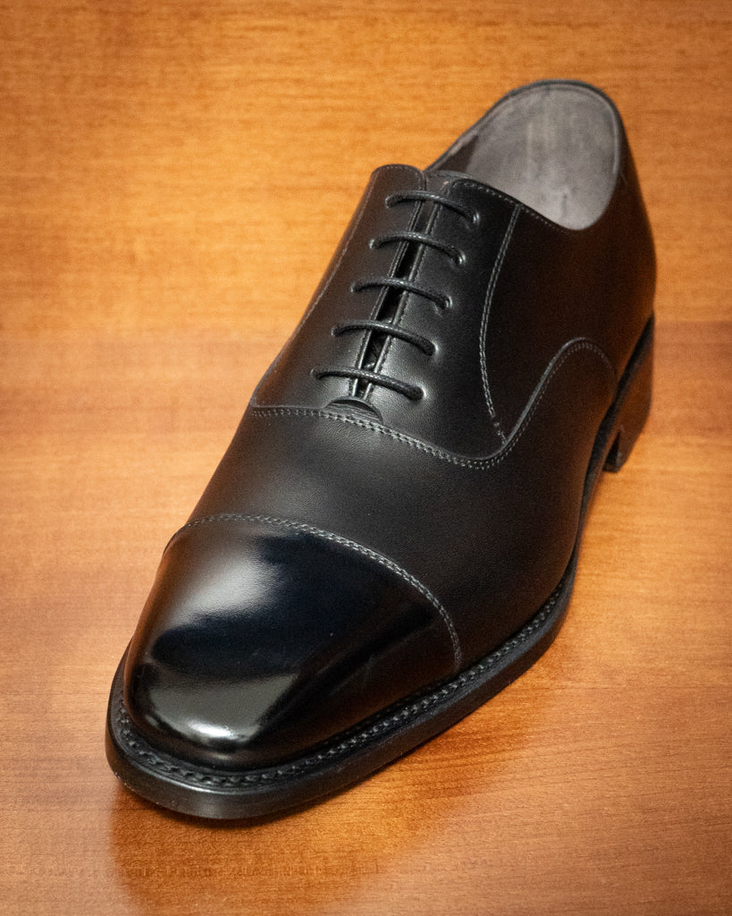 Scarpa Oxford Punta Lucida