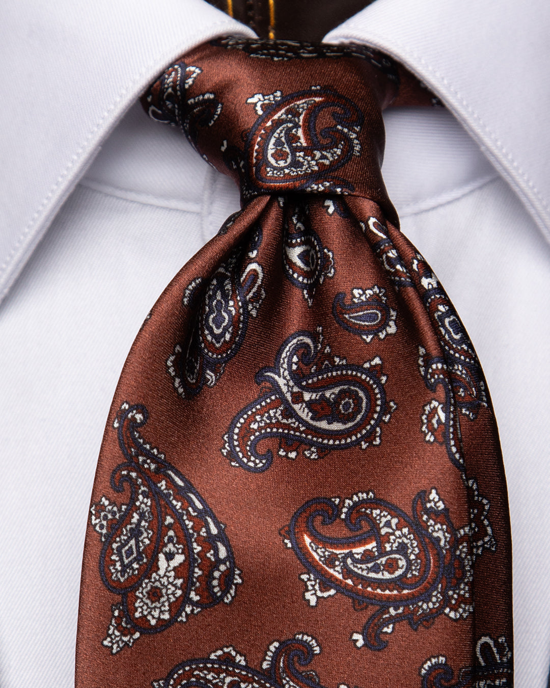 Cravatta Bronzo con Fantasia Paisley Blu e Rosso in Seta