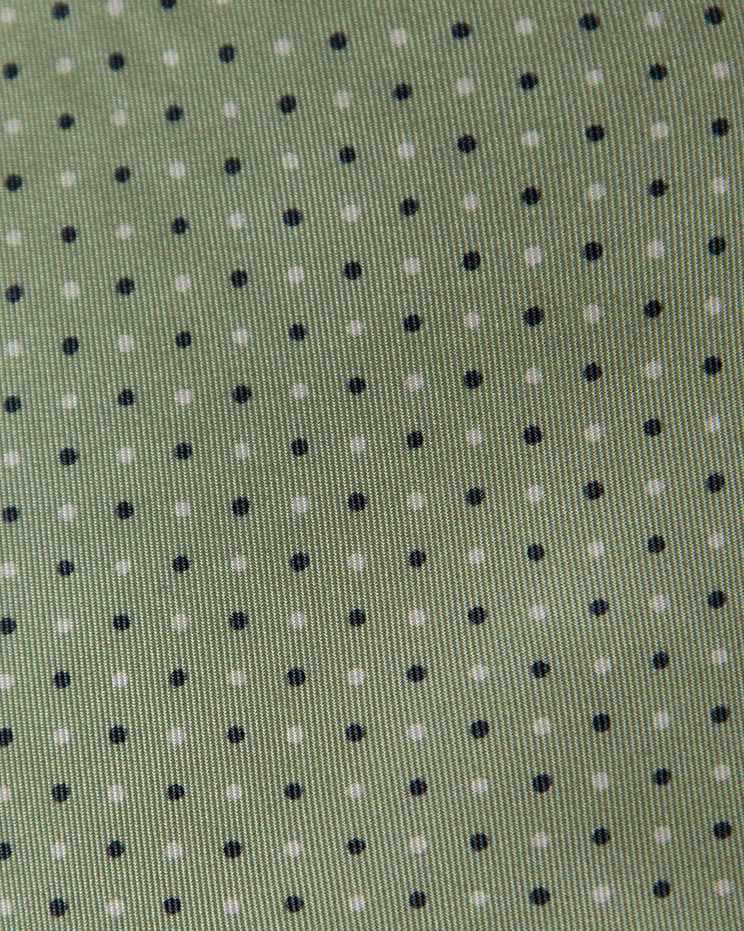 Cravatta Verde Chiaro con Pois Blue e Bianchi
