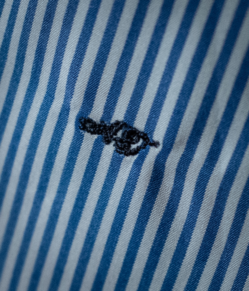 Camicia Bianca e Blu Bacchettata