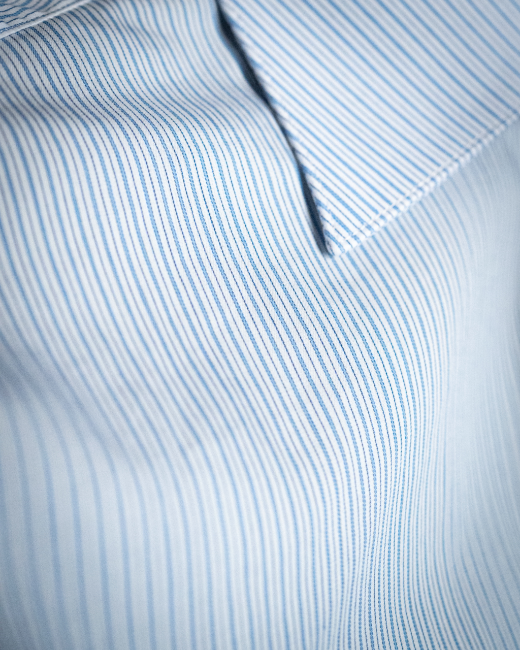 Bellini White Striped Shirt